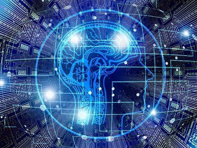 Neurociencia7 Neurociencia7